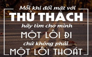 Hỏi - đáp: Đi tìm lối thoát
